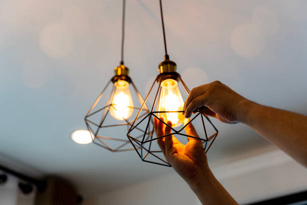 Best Electric Panel Repair  in Belleville, WI